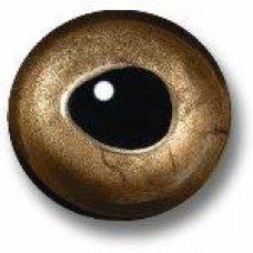 Van Dyke's Natural Eyes Fish Eye - Brown Trout 
