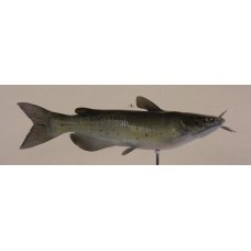 Channel Catfish Replica -  35"