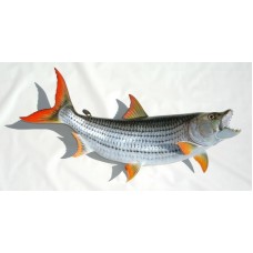 Miscellaneous Warm Water Tiger Fish Replica - 29"
