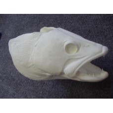 Walleye Fish Head - 4.9
