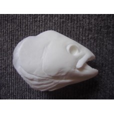 Grayling Fish Head - 2.25