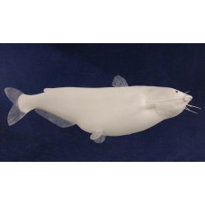 Blue Catfish Replica -  44"