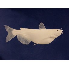 Channel Catfish Replica -  26"