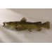 Flat Head Catfish Replica -  46"