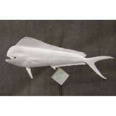 Dolphin Fish Replica - 42"