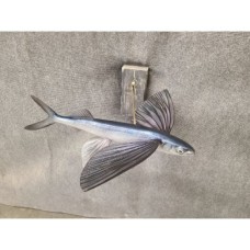 Miscelaneous Salt Water Replica Flying Fish - 18"