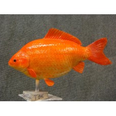 Carp Replica-Gold Fish - 11"