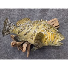 Pacific Rock Fish Replica -Chino Mero 20"