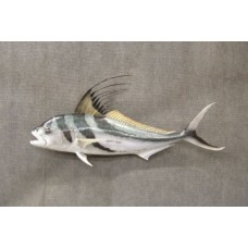 Rooster Fish Replica -  51"