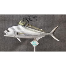 Rooster Fish Replica - 45"