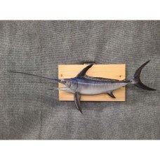 Broadbill Swordfish Replica -  40"