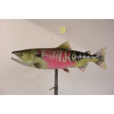 Chum Salmon Replica - 31"