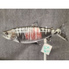 Chum Salmon Replica - 32"