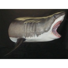 Sharks Replica Great White-  97"