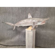 Sharks Replica Hammerhead -  58"