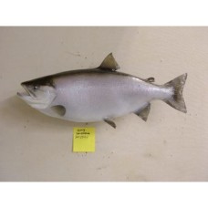 Kokanee Salmon Replica -  25"