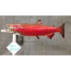 Silver Salmon Replica - 27"
