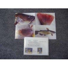 Warmwater Species - Bullhead-Brown Reference Material