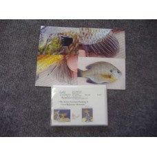 Warmwater Species - Bluegill Reference Material