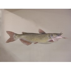 Channel Catfish Replica -  36"