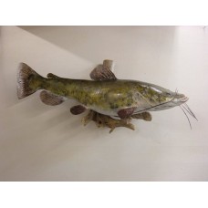 Flat Head Catfish Replica -  44"