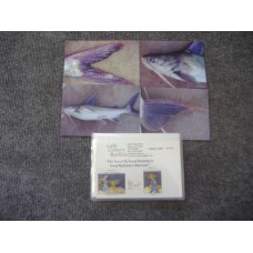 Saltwater Species - Gafftop Catfish Reference Material