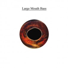 Lake Country Premier Eyes Fish Eye - Large Mouth Bass
