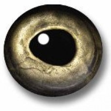 Van Dyke's Natural Eyes Fish Eye - General Purpose Gold