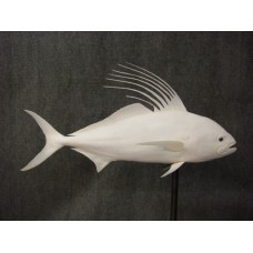 Rooster Fish Replica -  41"