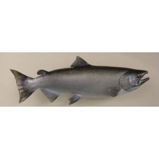 King Salmon Replica - 37"