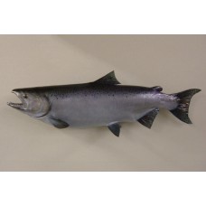 King Salmon Replica - 38"