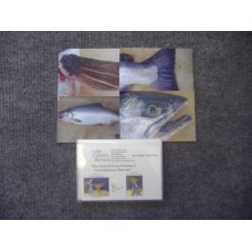 Coldwater Species - Salmon-Silver Bright Reference Material