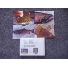 Coldwater Species - Salmon-Silver Spawning Reference Material