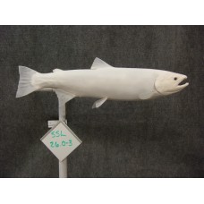 Silver Salmon Replica - 26"