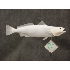 Speckled Sea Trout Replica - 27.5"